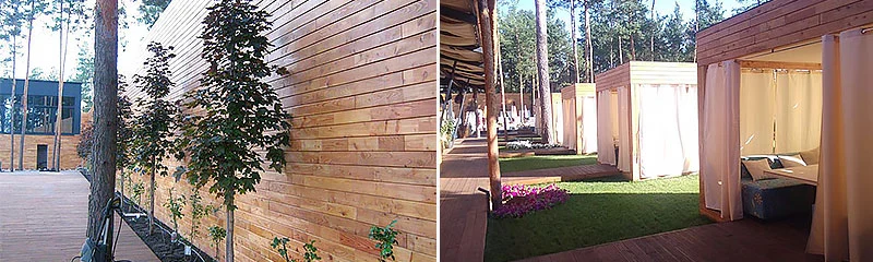 ���� ��� ������� ��������: �� �������� �����, ��� ���� ���� �� �� ��������� ���������������